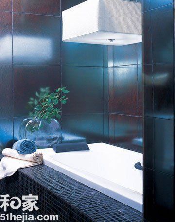 惊艳浴缸9例 打造冬天里的热情浴室（组图） 
