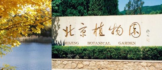 图为北京植物园