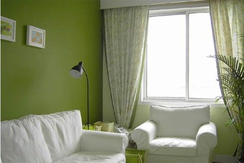 2万改造居室 让自然绿色成为一种个性(组图)  