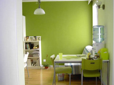 2万改造居室 让自然绿色成为一种个性(组图)  