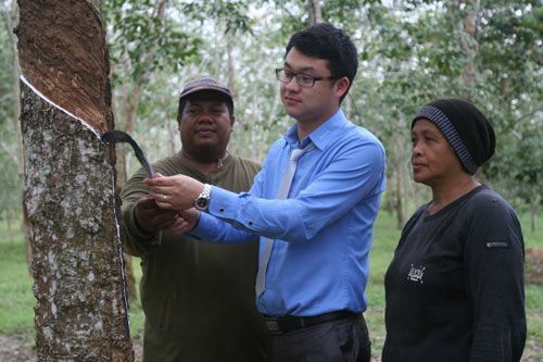 亿维雅工作人员为到访团介绍橡胶树采集工序（图中为蓝谷公司市场总监马子昆）