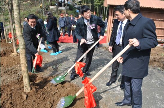 图为安徽森泰塑木集团提供