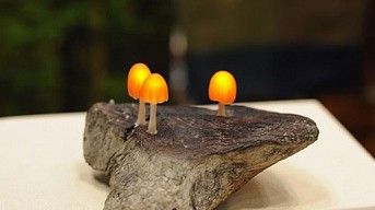 LED蘑菇灯 回收木材再利用 