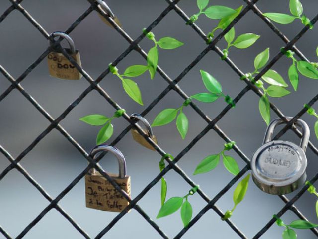 给生活加点生气 Leaf tie小嫩芽绕线器(组图) 