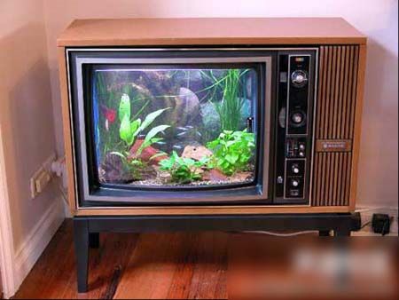 旧电视变鱼缸 旧物改造唤醒家居新活力(组图) 