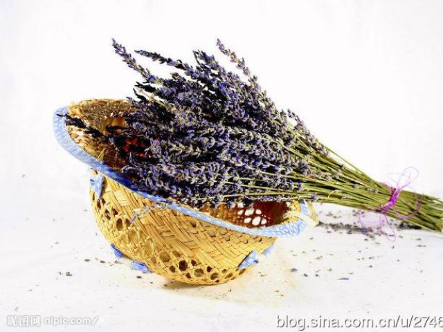 如果能与鲜花或人造花搭配，更能表现干花独特的韵味。花篮中的主花一般是大花或果实，衬托花则是枝叶、草或小碎花。插花的器皿则没有什么局限，玻璃瓶、瓷瓶、陶罐、竹篮均可