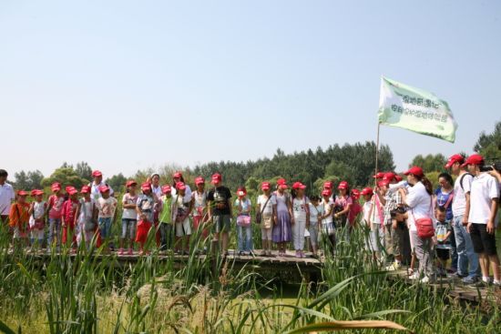 了解湿地水生植物