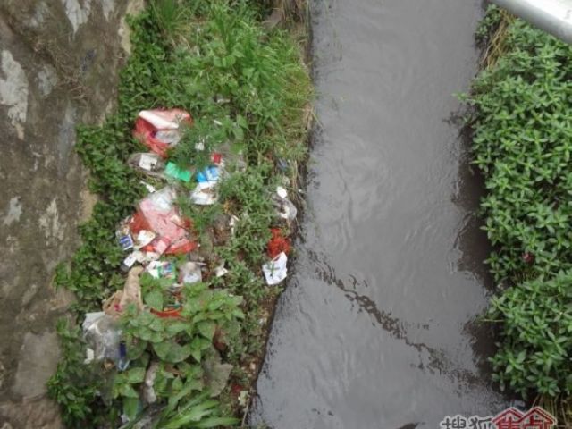 河涌被污染严重