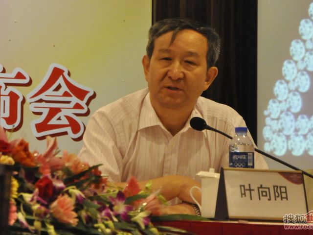 中国建筑卫生陶瓷协会会长 叶向阳