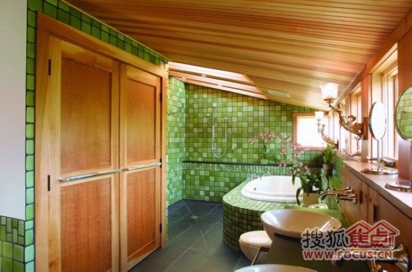 拒绝单调浴室 打造清新绿色的沐浴空间(组图) 