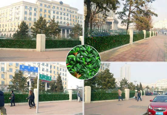 黑龙江省政府围墙护栏给哈尔滨的冬天带来一抹绿意