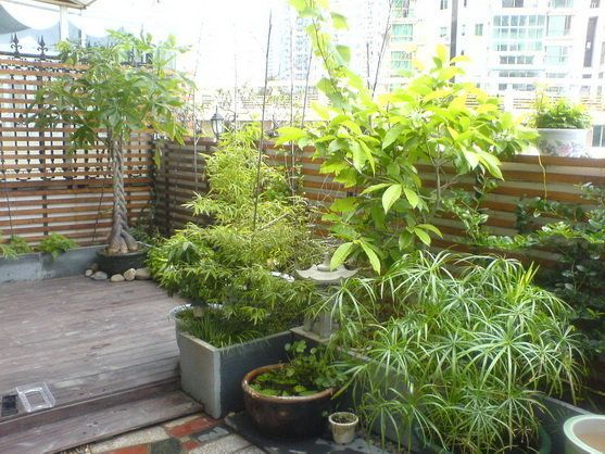 网友之家 闲情逸趣 日式庭院装修设计分享 