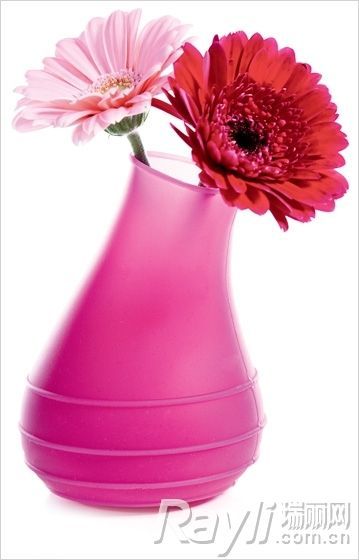 Royal 玫瑰粉色花瓶 