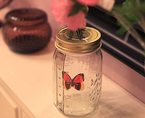 Butterfly Jar蝴蝶罐子