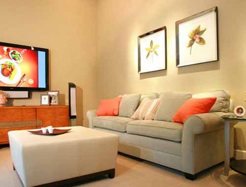 在沙发上摆放上橙色的抱枕，给这个客厅注入了活力。植物图案的装饰画，简单而优雅