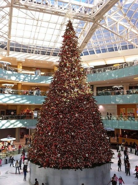 喜迎佳节 美国最令人惊艳的10款圣诞树(组图) 