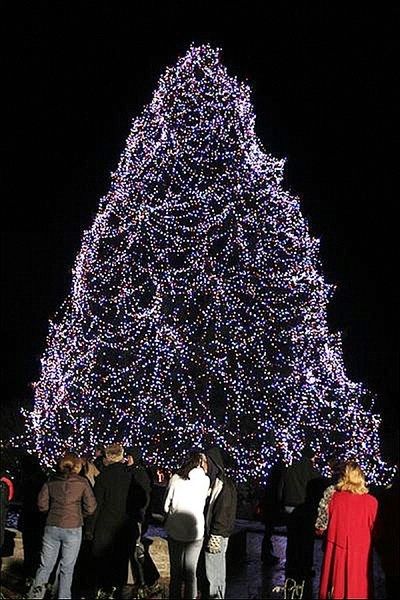 喜迎佳节 美国最令人惊艳的10款圣诞树(组图) 