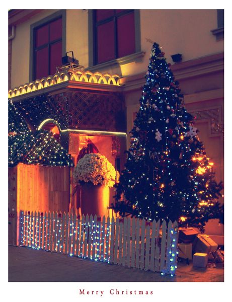白色圣诞夜 美美的圣诞树 勾想起圣诞的来源 