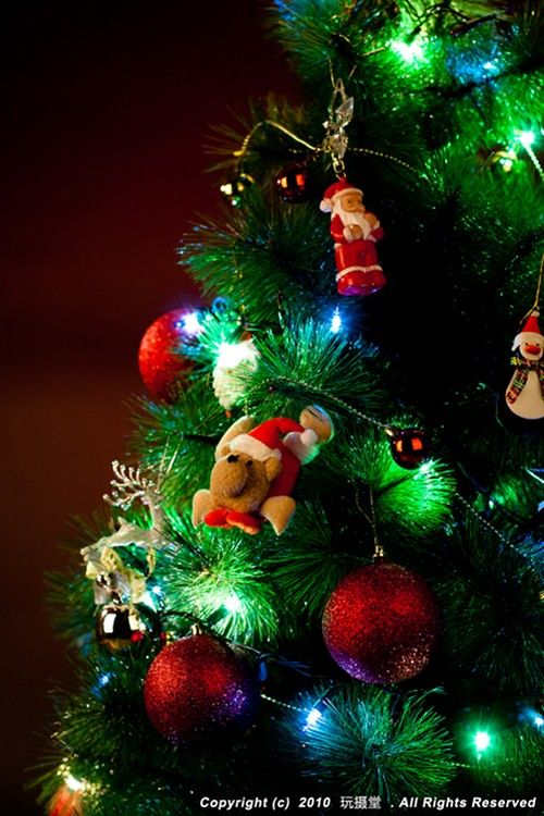 白色圣诞夜 美美的圣诞树 勾想起圣诞的来源 