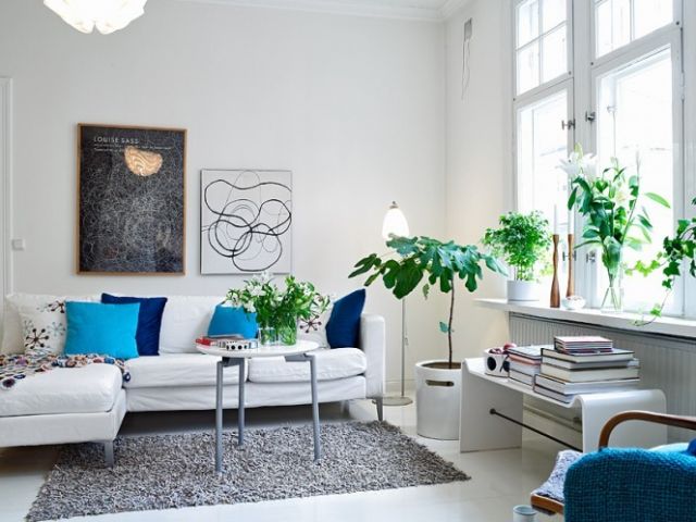 白色系北欧风单身公寓 植物为家添生气（图） 