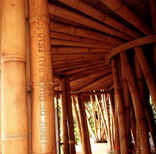 竹子搭建的巴厘岛绿色校舍:学校也能成乐园？ 