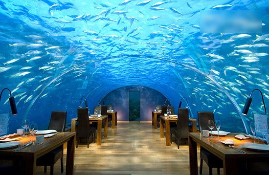 惊人的全玻璃海底餐厅 马尔代夫度假酒店(图) 