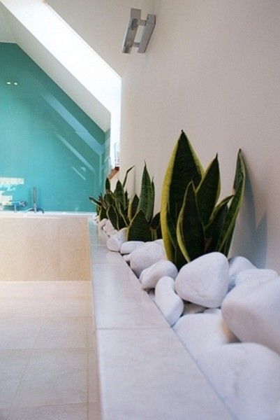 活力无限 41款浴室绿色植物装饰设计赏析（图） 