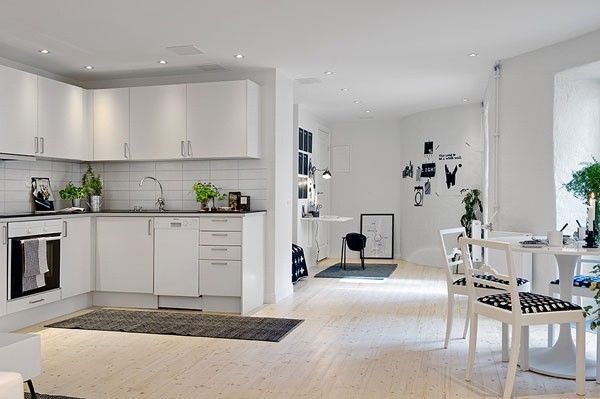 黑白幻境来袭 48平米瑞典迷人小公寓（组图） 