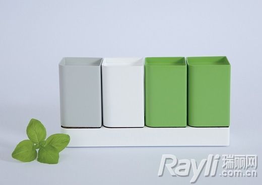 ZISH米色与绿色的调料盒组合 