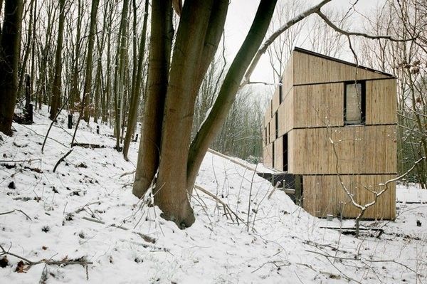 比利时竹子屋 深棕地板打造现代个性住宅(图) 