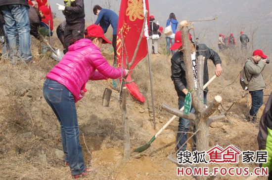 现场植树并挂上“北人梦之林”编号牌