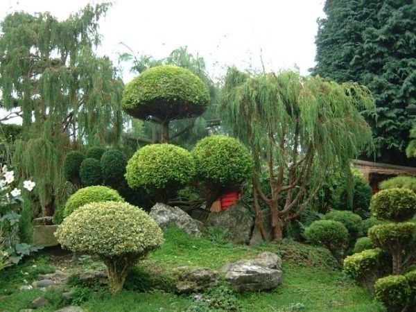 禅的自然 28款日式现代庭院景观设计(组图) 