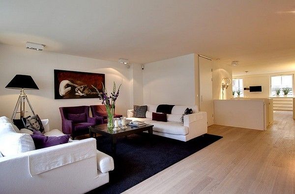 纯净地板现代感设计 北欧风明亮温馨公寓(图) 