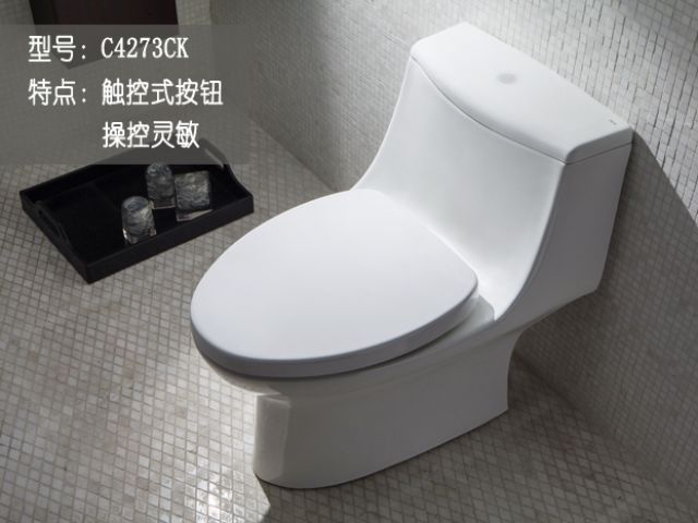 C4273CK单品图