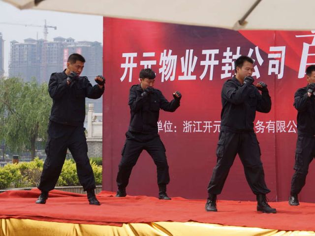 拳术表演