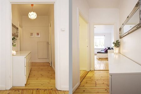 省钱装修的单身公寓 极致简洁北欧风的家(图) 