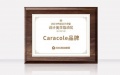 Caracole荣获“2023中国设计力量设计美学推动奖”